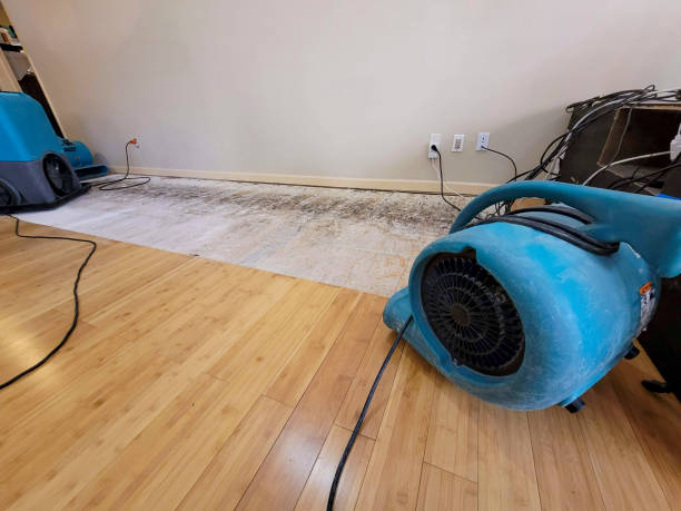 Professional Sewage Cleanup technician working in Wauconda, WA